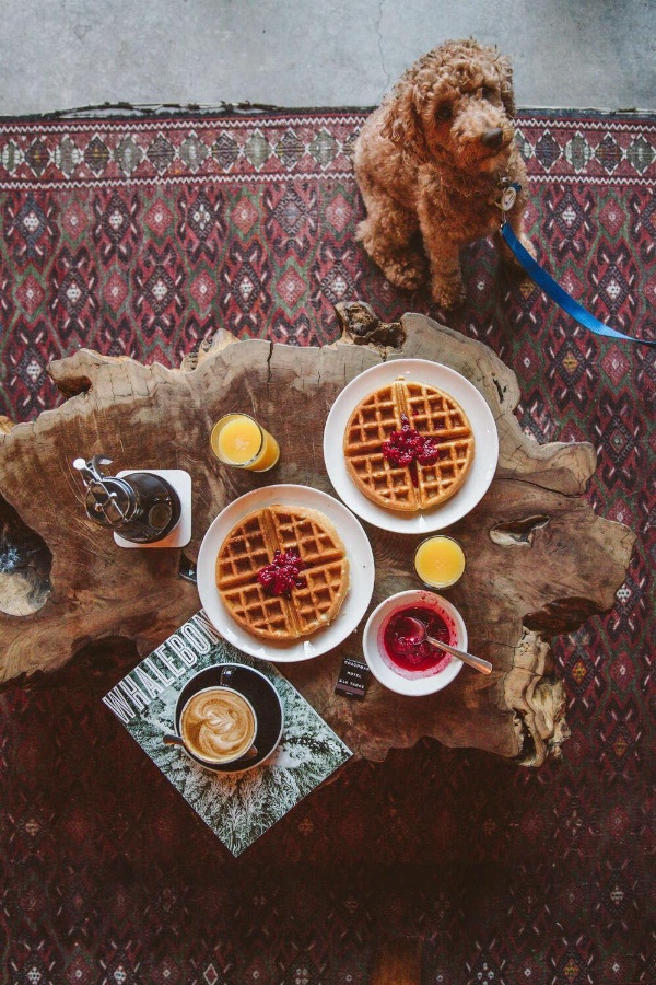 The Coachman Hotel image 4